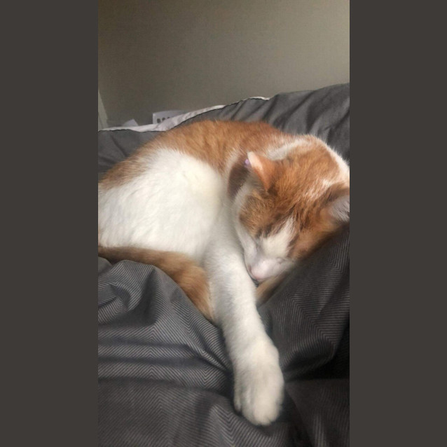 Photo of Mr Monroe 🧡🙌