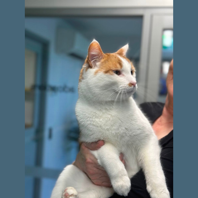 Photo of Mr Monroe 🧡🙌