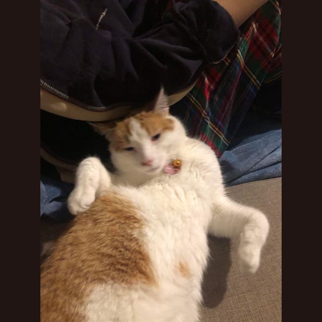 Photo of Mr Monroe 🧡🙌