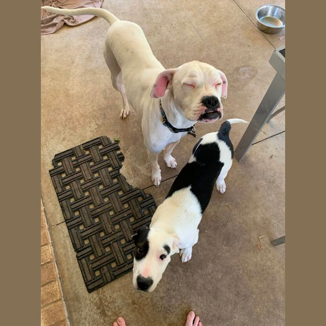 Photo of Florence (Coco)