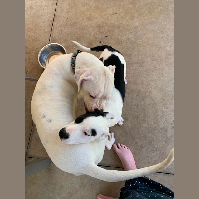 Photo of Florence (Coco)