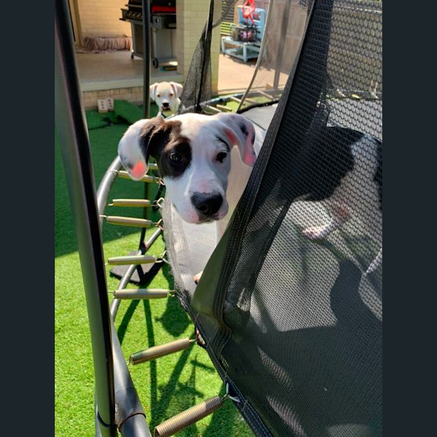 Photo of Florence (Coco)