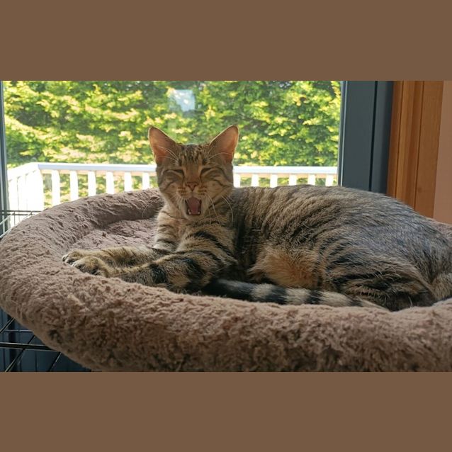Photo of Judy