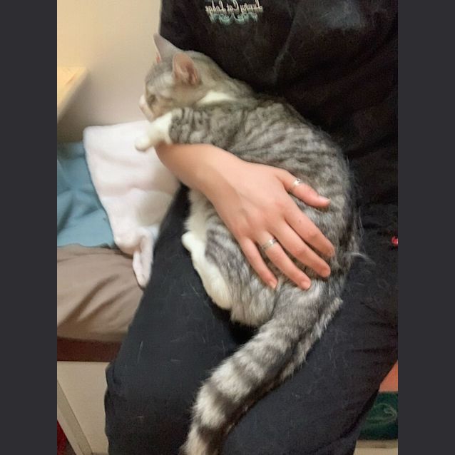 Photo of Whitey