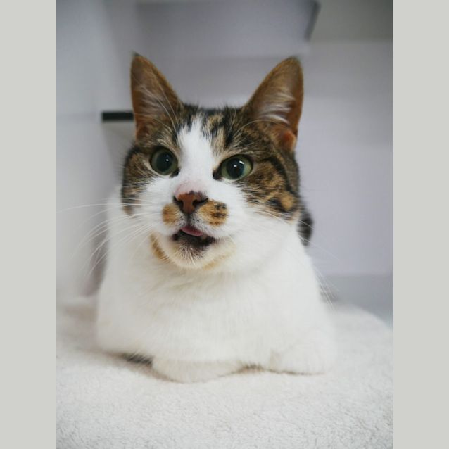 Photo of Hazel Sta011693