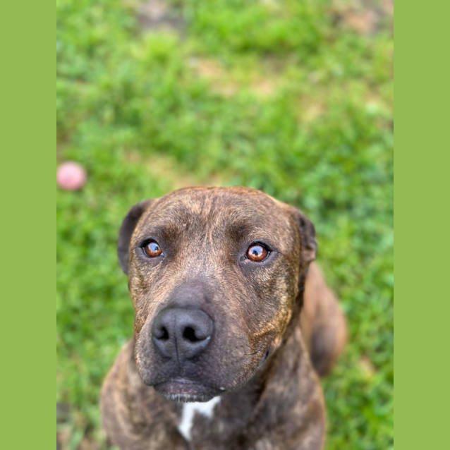 Photo of Marley