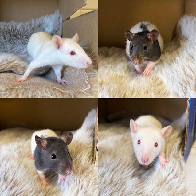 Photo of Lilith & Lola
