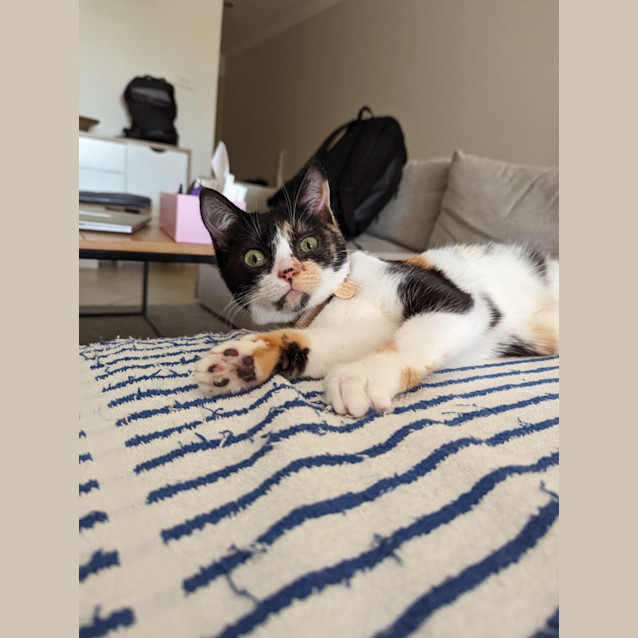 Photo of Miss Honey 🍯 