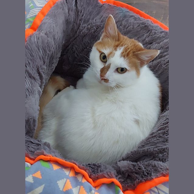 Photo of Dolly