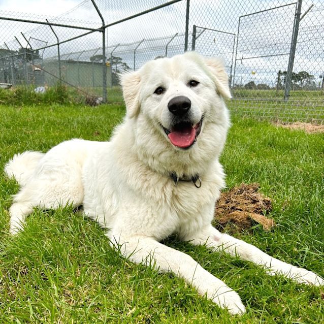 Photo of Narla