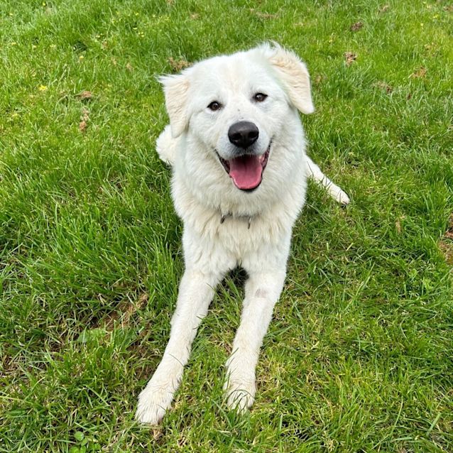 Photo of Narla