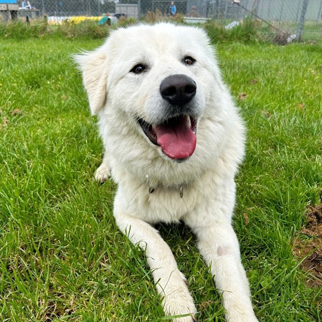 Photo of Narla