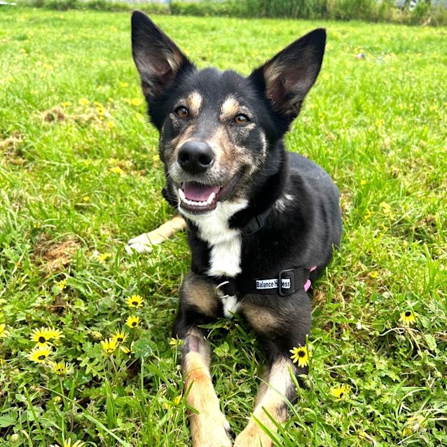 Photo of Maggie
