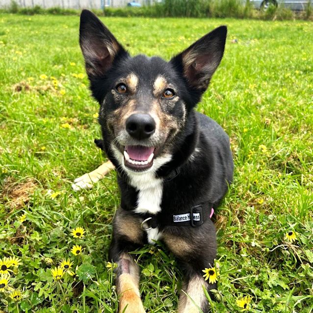 Photo of Maggie