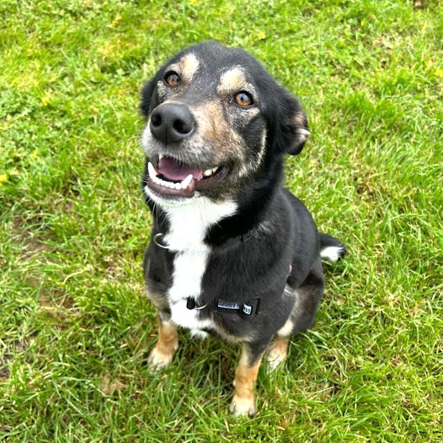 Photo of Maggie