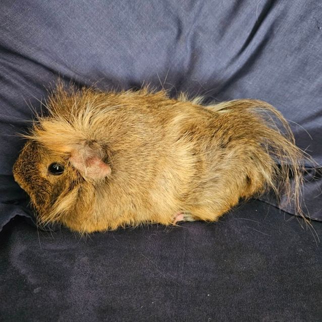Photo of Parker 