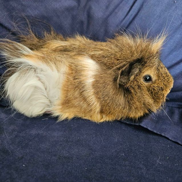 Photo of Parker 
