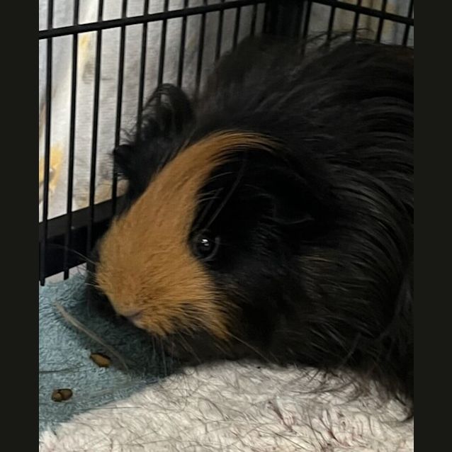 Photo of Miss Spice