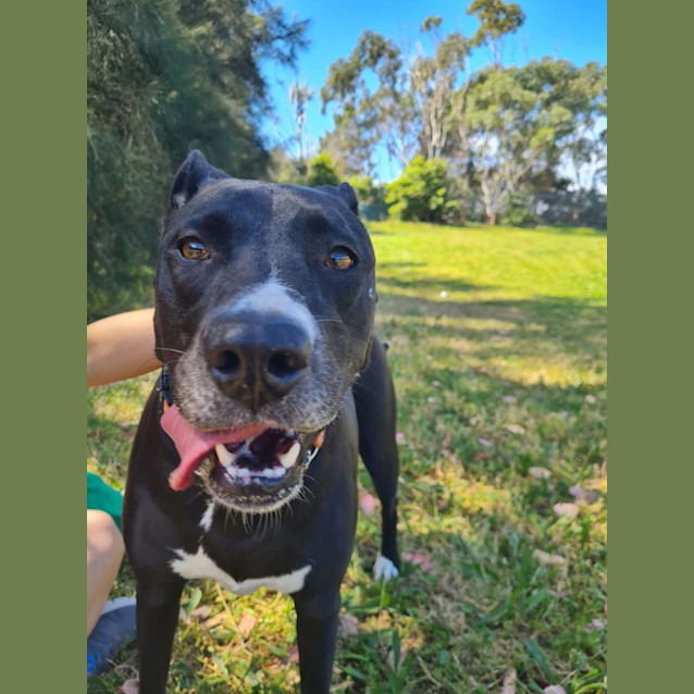 Photo of Bella 