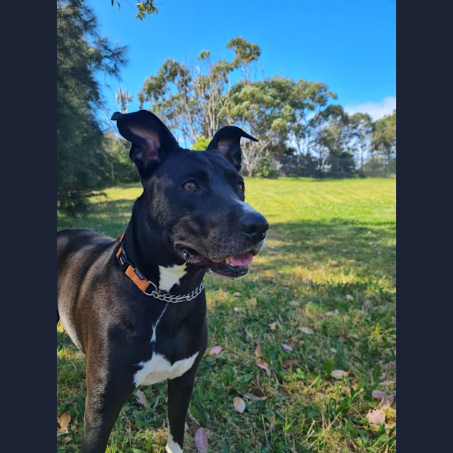 Photo of Bella 