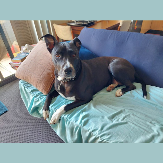 Photo of Bella 