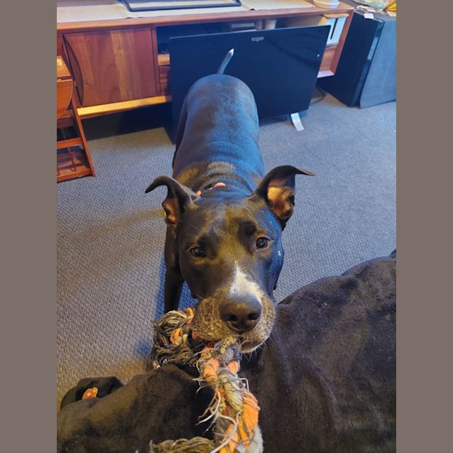 Photo of Bella 