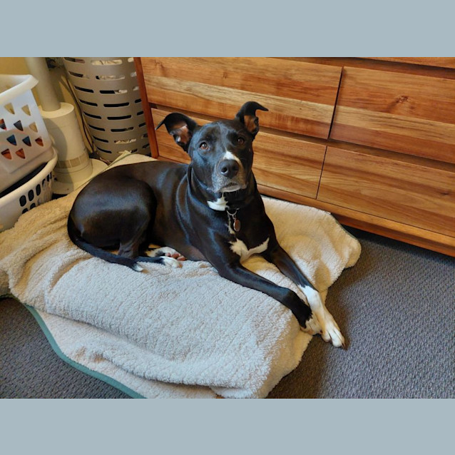 Photo of Bella 