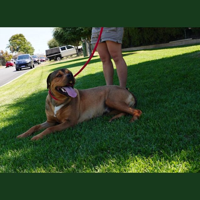 Photo of Wyatt