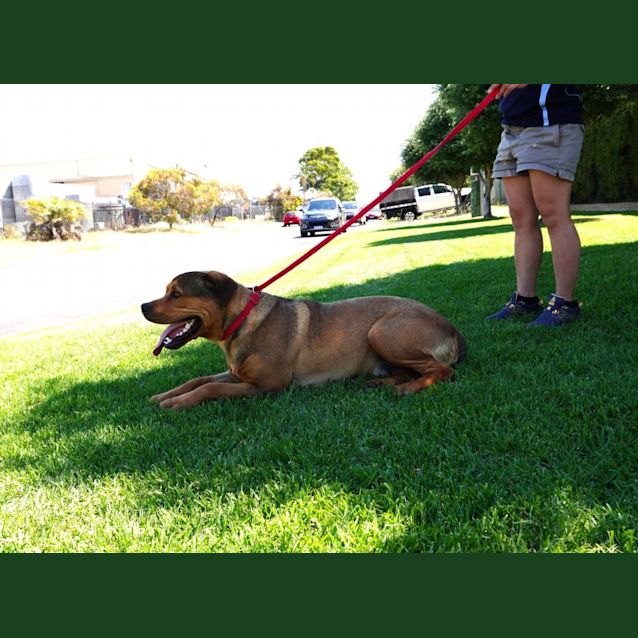 Photo of Wyatt