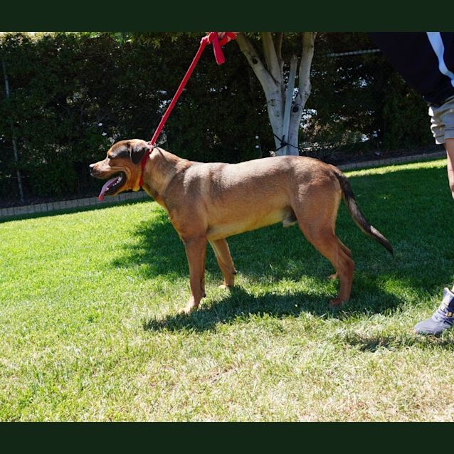 Photo of Wyatt