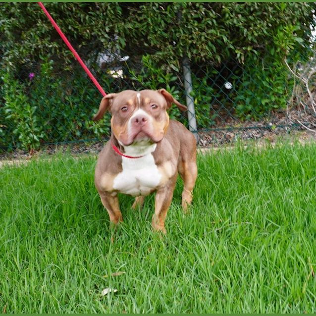Photo of Bobbie