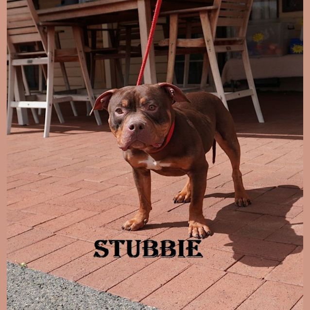 Photo of Stubbie