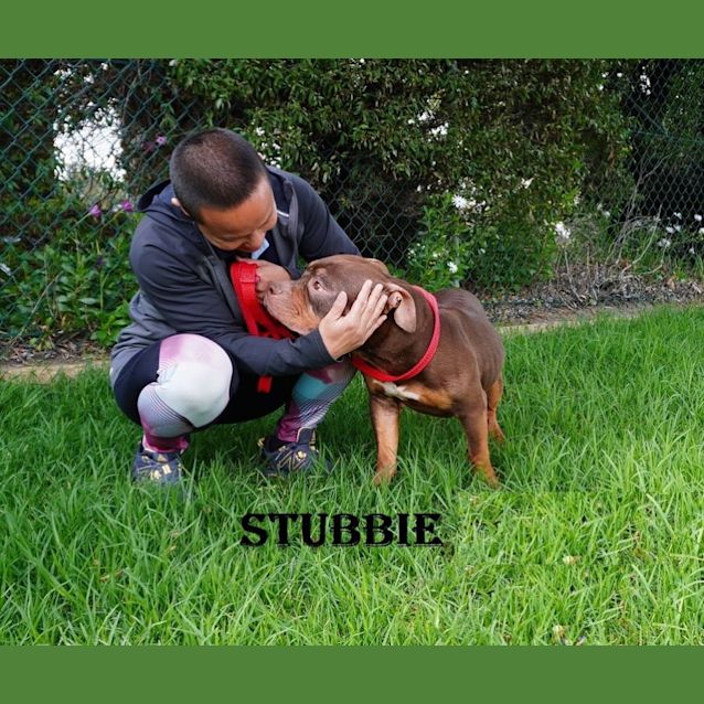 Photo of Stubbie