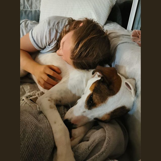 Photo of Macca  *$250 Adoption Fee*