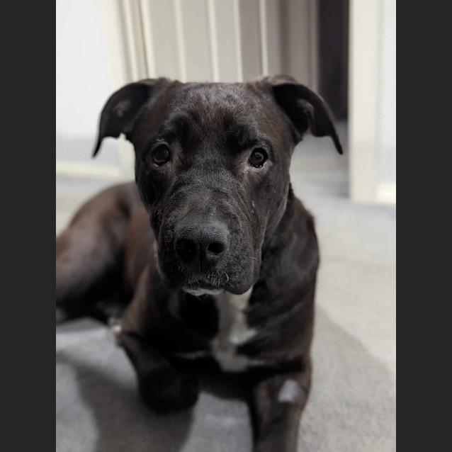 Photo of Penny 