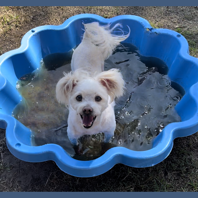 Photo of Max
