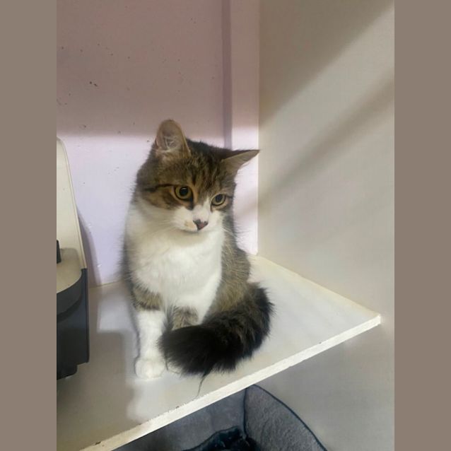 Photo of Molly 