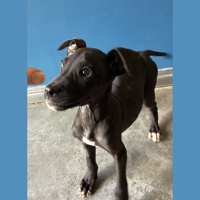 Photo of Finn