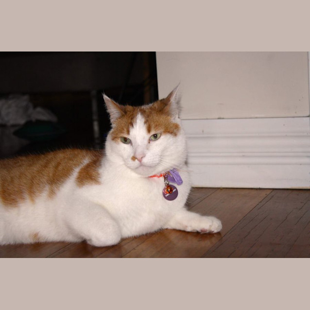 Photo of Mr Monroe 🧡🙌