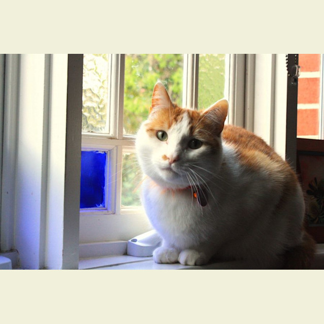 Photo of Mr Monroe 🧡🙌