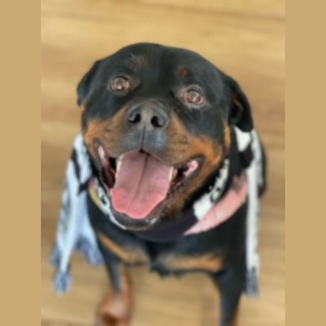 Photo of Fitch