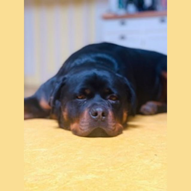 Photo of Fitch