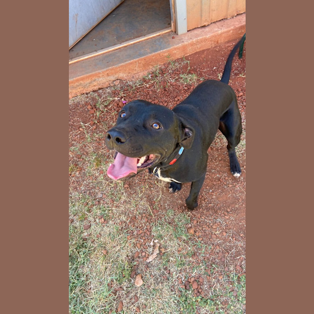 Photo of Nero