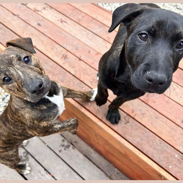 Photo of Trick 🤪🎃