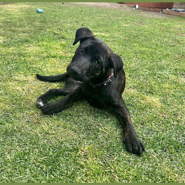 Photo of Trick 🤪🎃