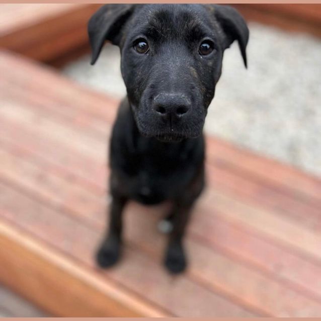 Photo of Trick 🤪🎃