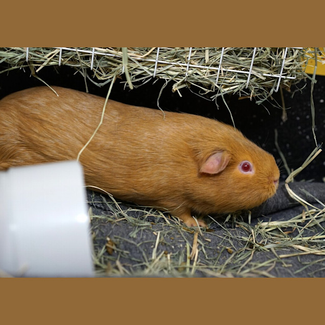 Photo of Parker