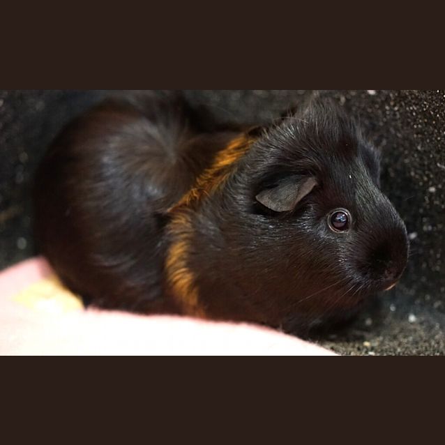 Photo of Mrs Polly