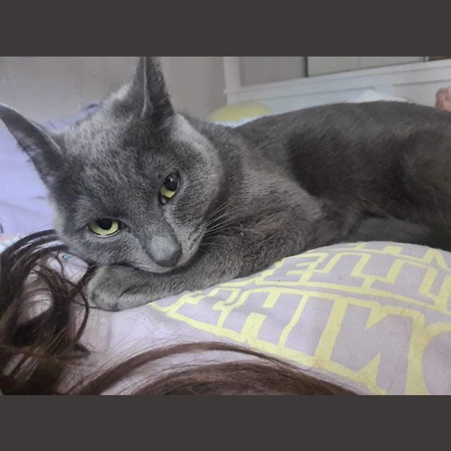 Photo of Velvet Meet Me At Petstock Dandenong