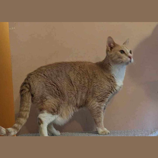 Photo of Chi Chi